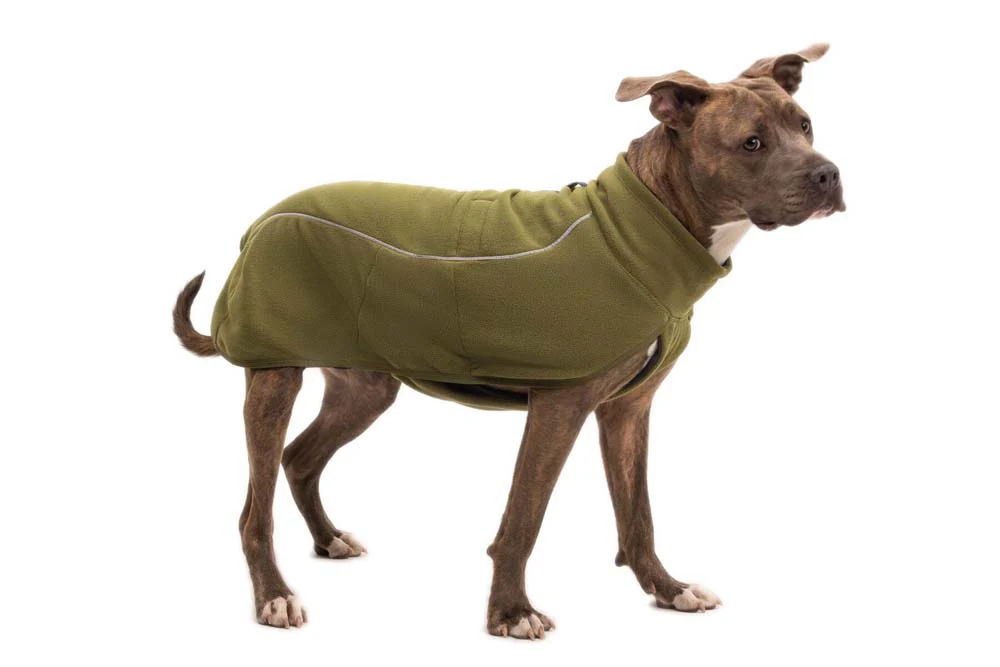 Climate Changer Fleece Vest Cedar Green - Image 9