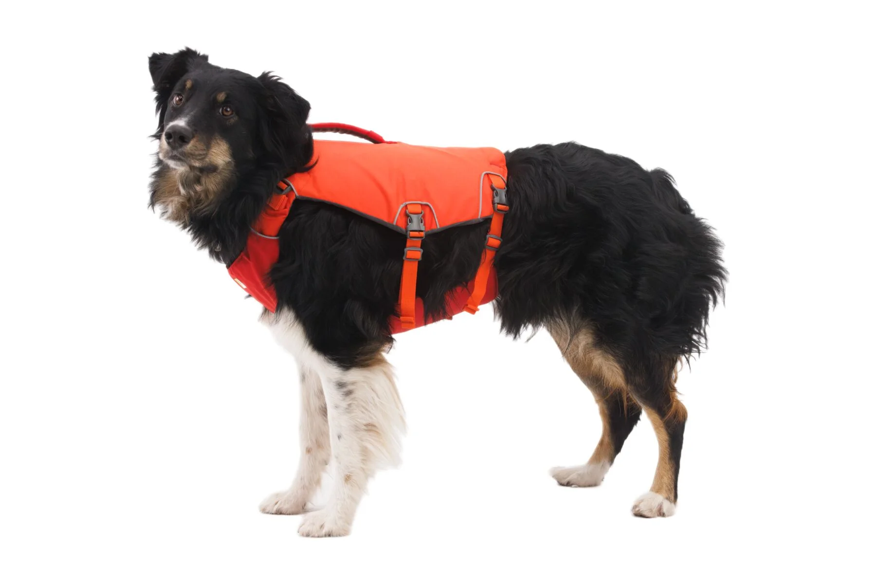 Confluence Life Jacket Tangelo Orange - Image 6