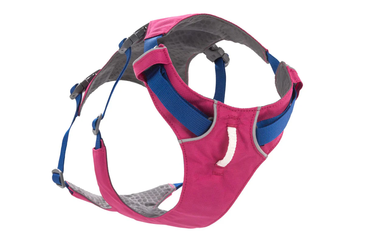 Flagline Harness Alpenglow Pink - Image 3