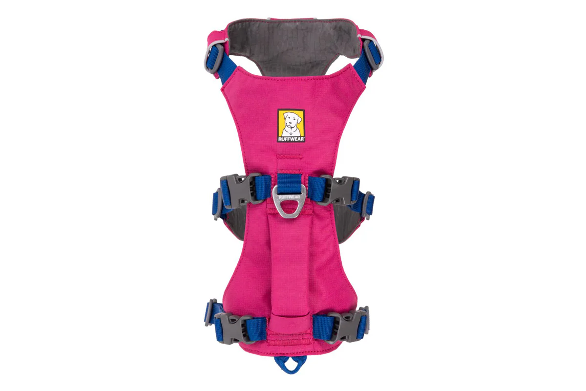 Flagline Harness Alpenglow Pink - Image 5