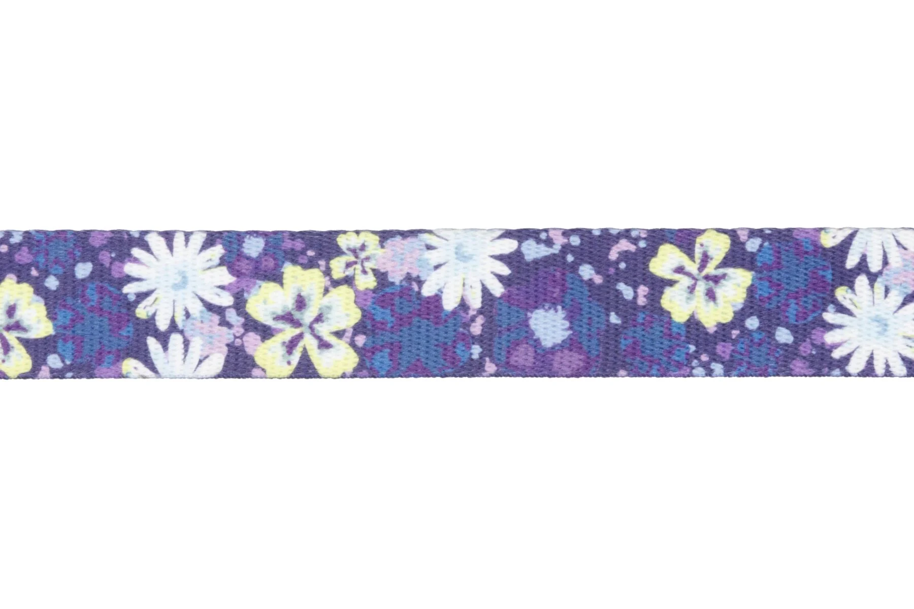 Front Range Collar Wildflower - Image 3