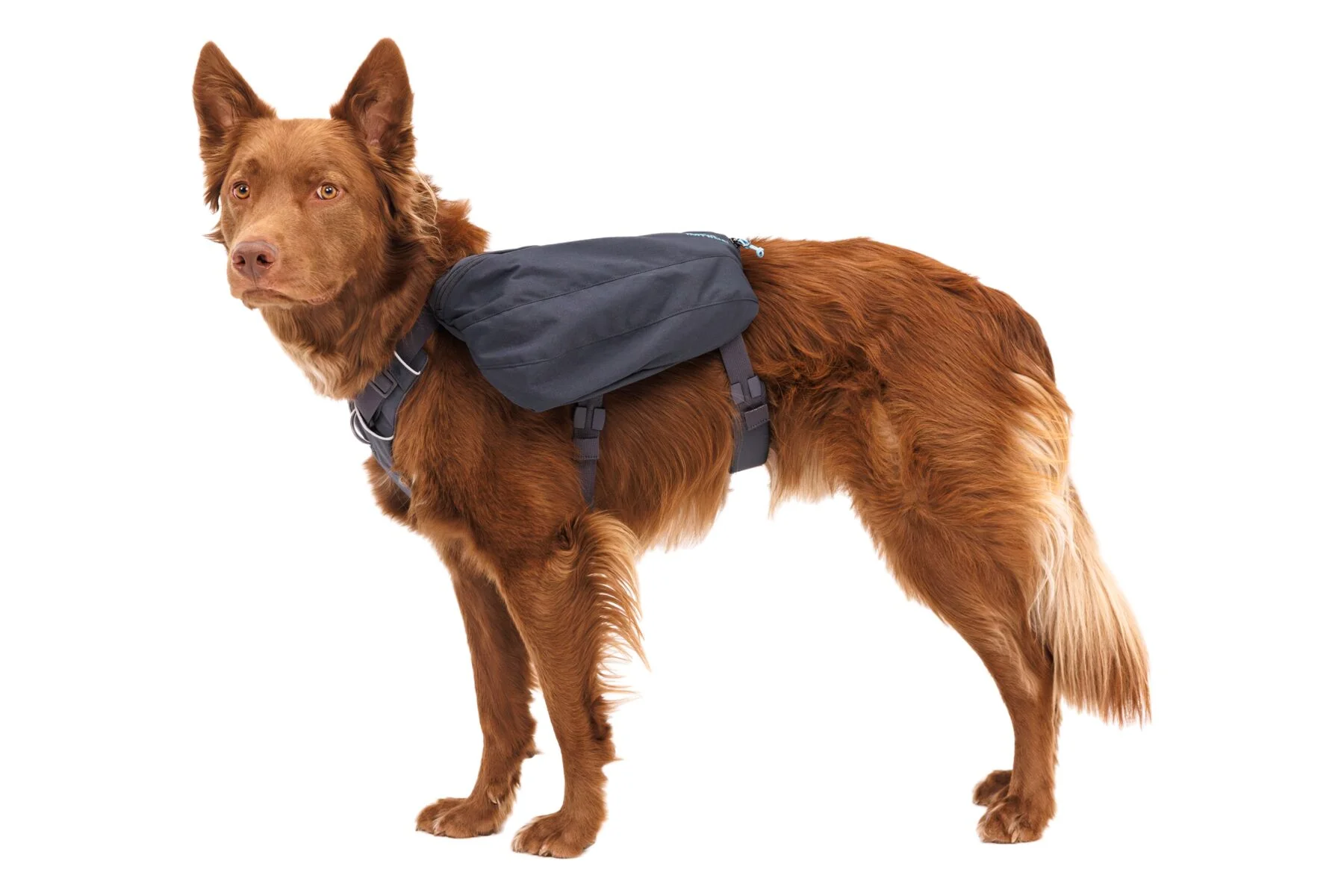 Front Range Day Pack Basalt Gray - Image 6