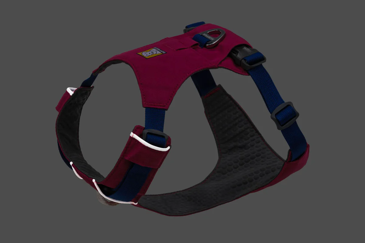 Hi & Light Harness Alpenglow Pink - Image 6