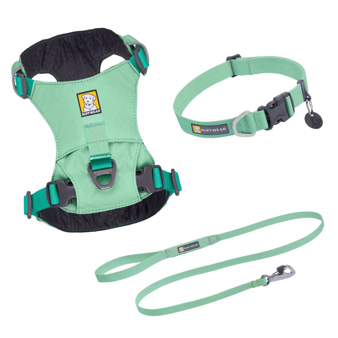 Hi & Light Set - Sage Green