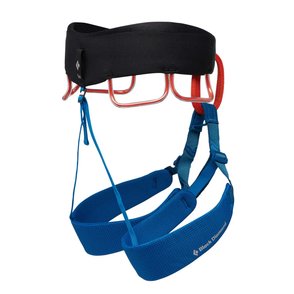 M Momentum Harness S24 Kingfisher - Image 2