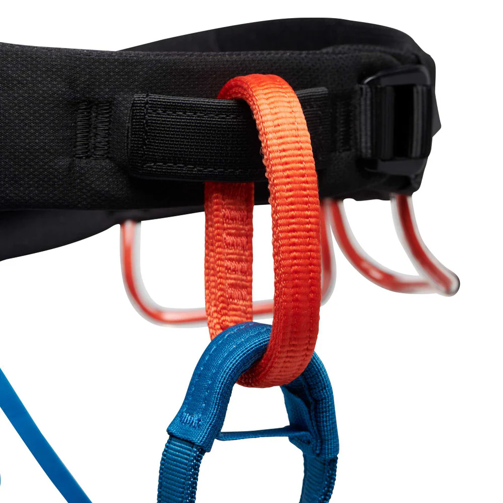 M Momentum Harness S24 Kingfisher - Image 5