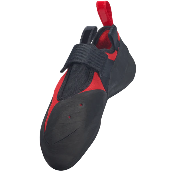Regulus LV - Image 3