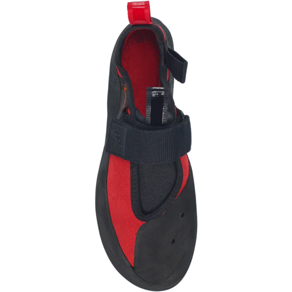 Regulus LV - Image 4