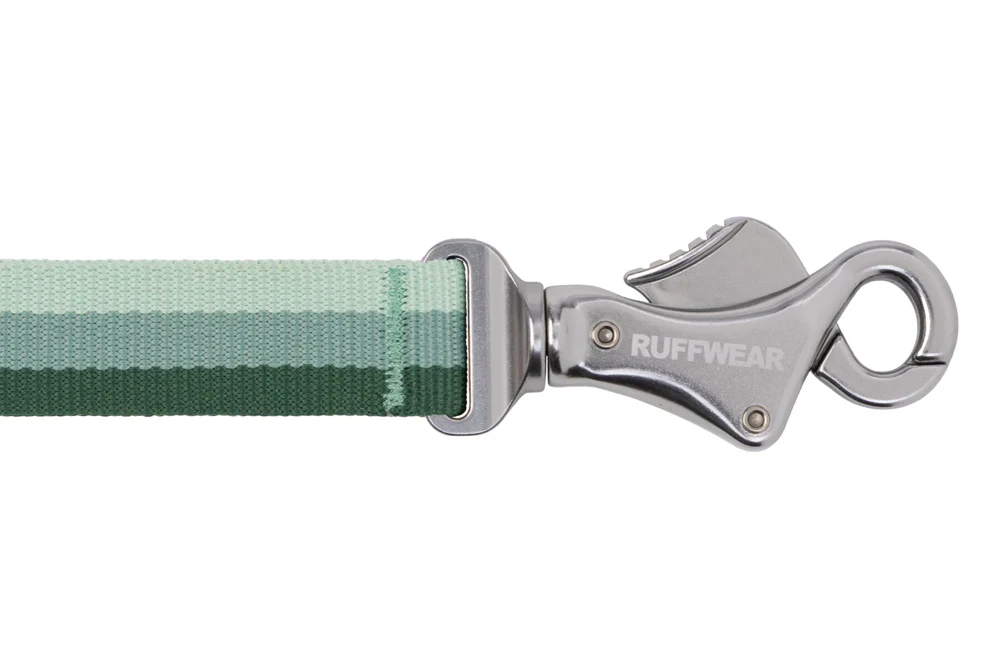 Roamer Leash River Rock Green - Image 3