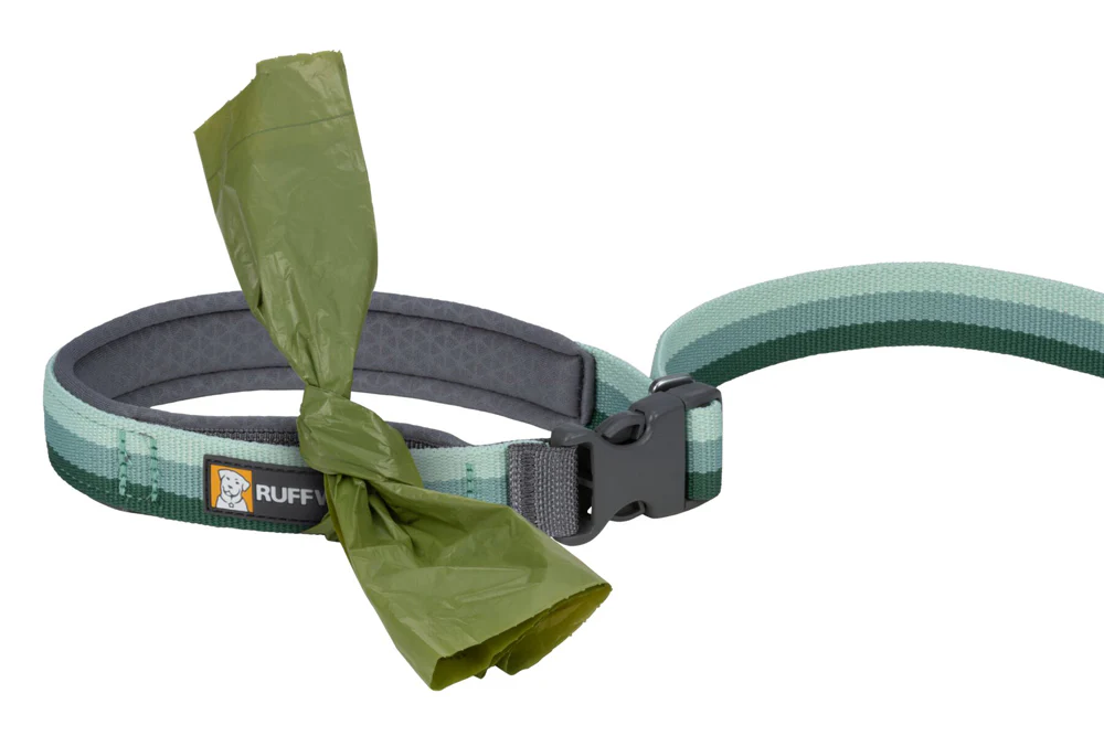 Roamer Leash River Rock Green - Image 4