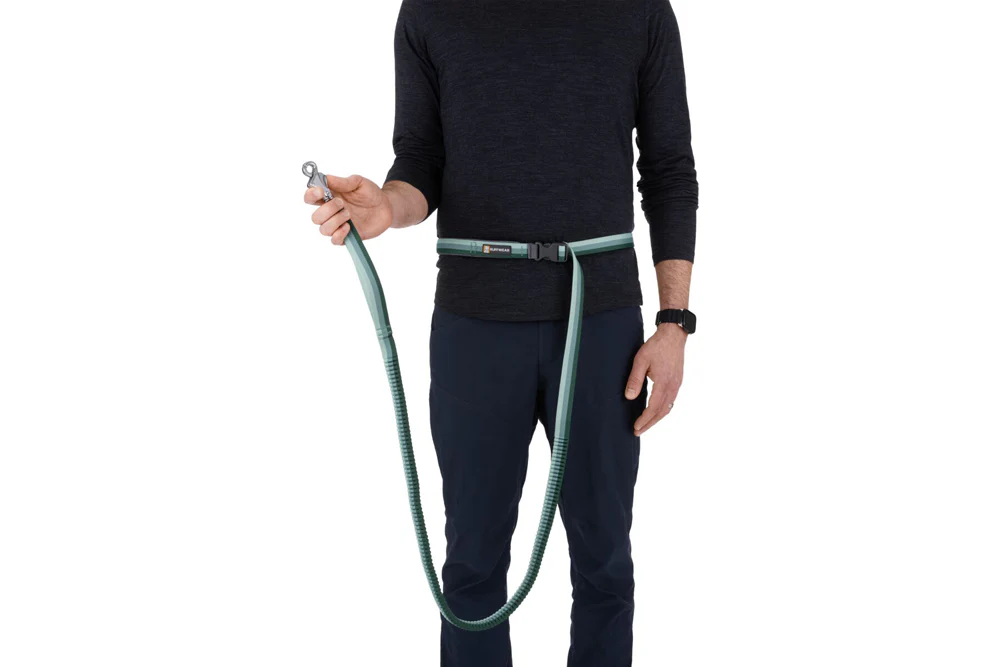 Roamer Leash River Rock Green - Image 6