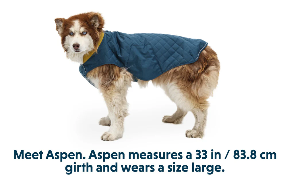 Stumptown Jacket Orion Blue - Image 6