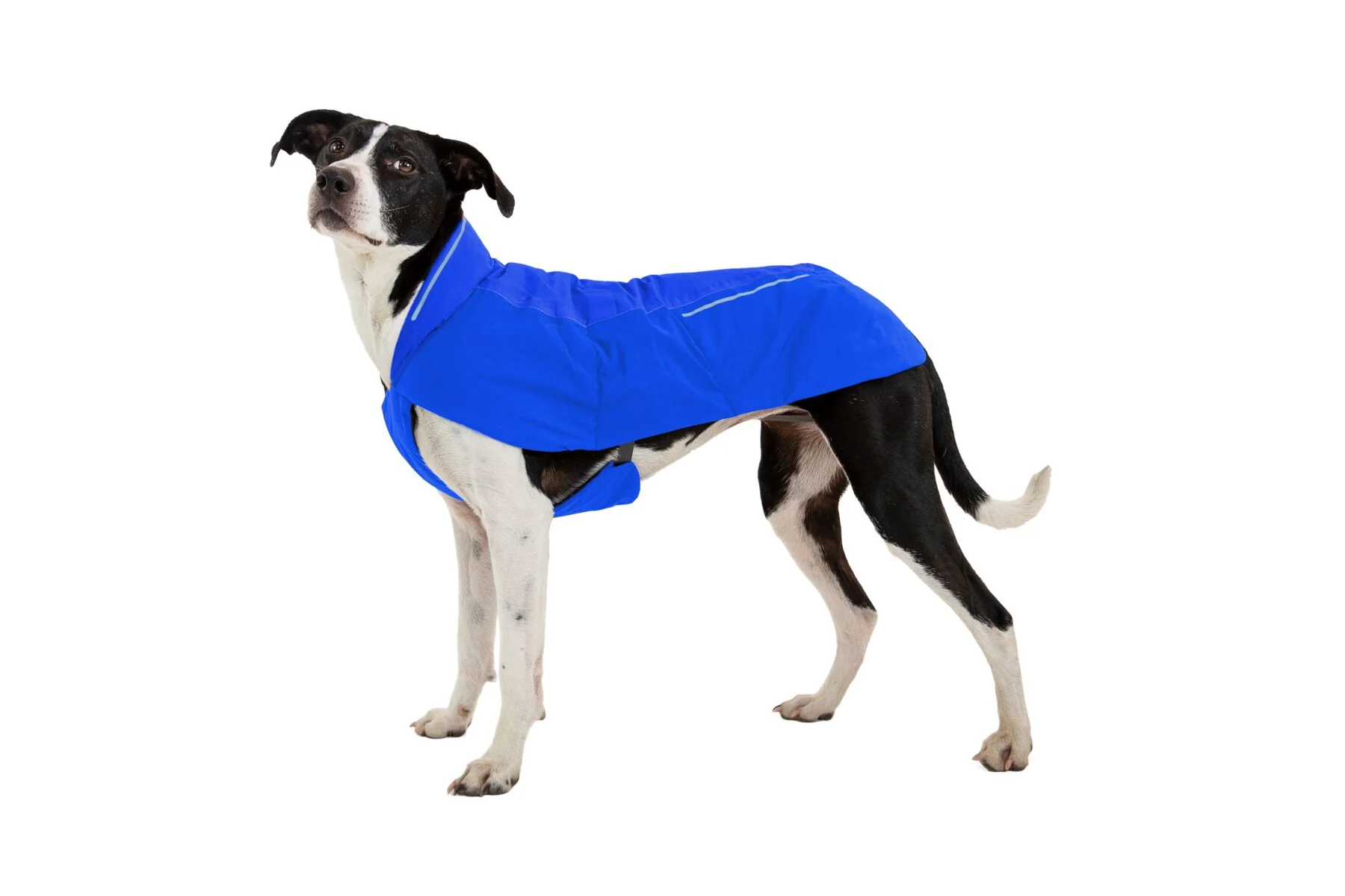 Vert Jacket Blue Pool - Image 6