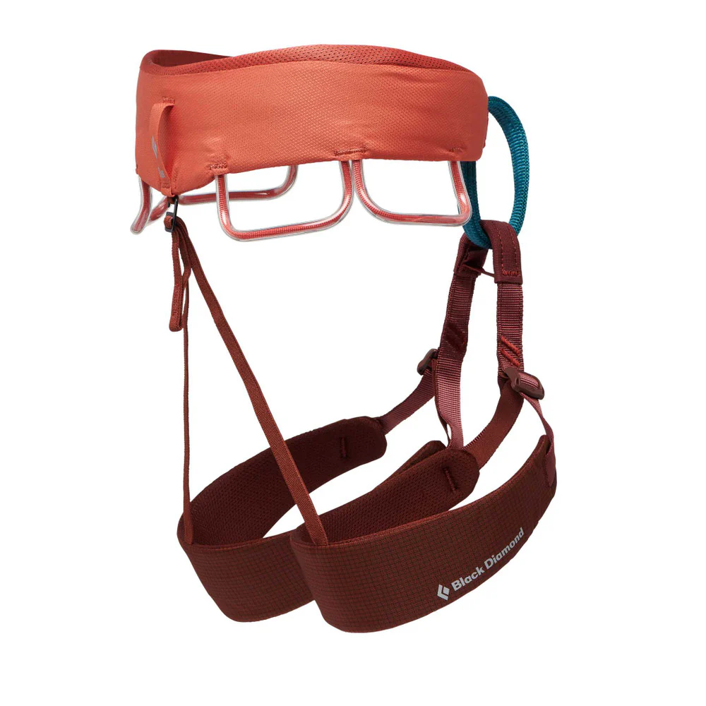 W Momentum Harness S24 Baja Sunrise - Image 2