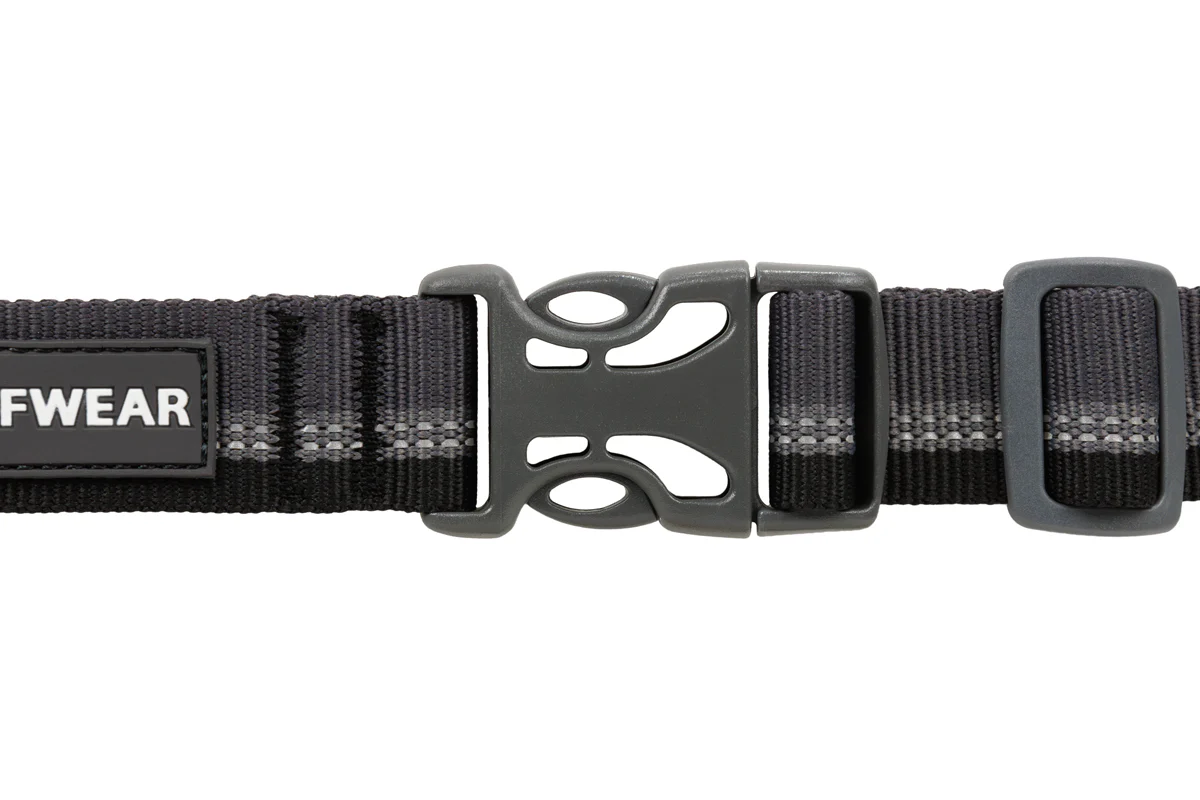 Web Reaction Collar Basalt Gray - Image 2